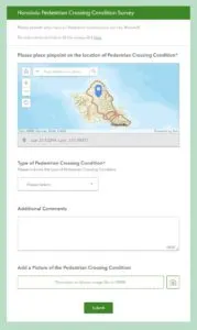 AFC Honolulu Pedestrain Survey